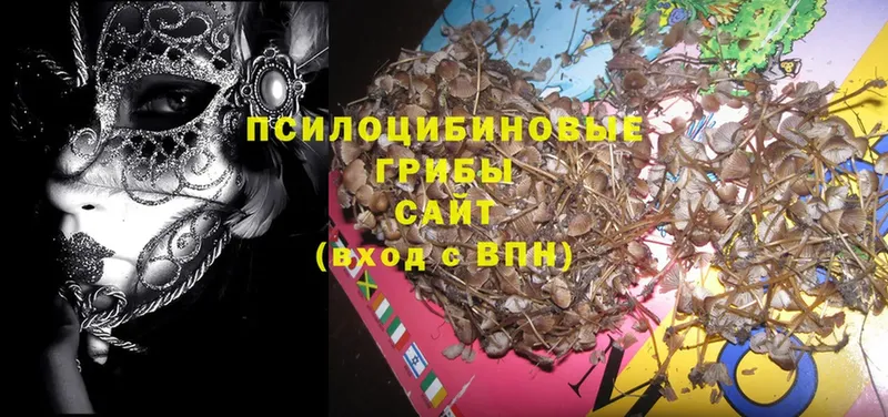 ОМГ ОМГ ссылки  Венёв  Галлюциногенные грибы Magic Shrooms 